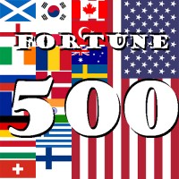 Fortune 500 45% intl