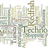 2014-06-03-Redfish-Jobs