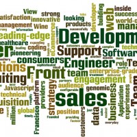 2015-6-2-Redfish-Tech-Jobs