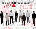 Redfish Technology - Nationwide IT Recruiting for High Tech Industries
